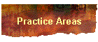 Practice Areas